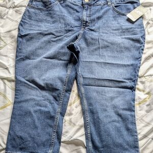 Lee Blue Capri Pants